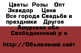 Цветы. Розы.  Опт.  Эквадор. › Цена ­ 50 - Все города Свадьба и праздники » Другое   . Амурская обл.,Свободненский р-н